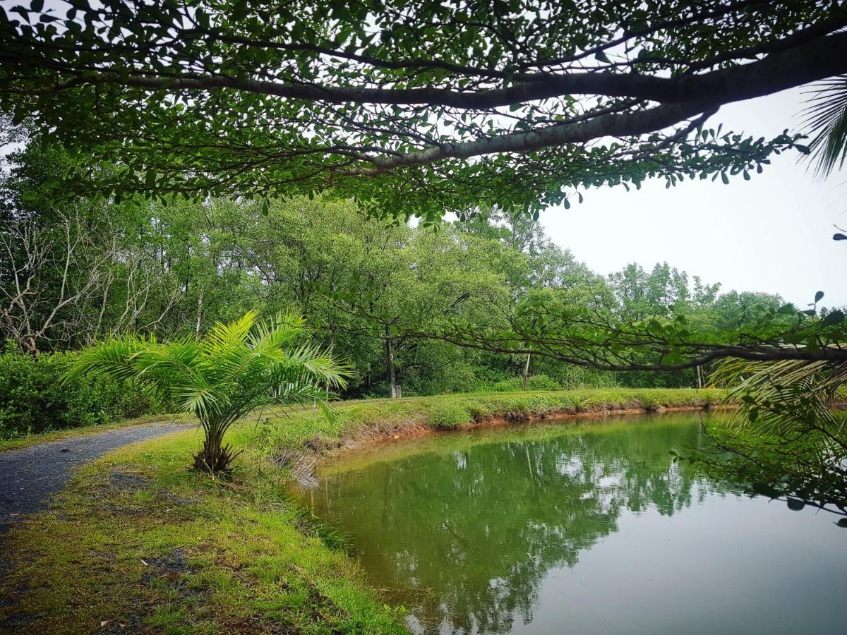 Calm At Bangphat Bor Saen Exterior foto